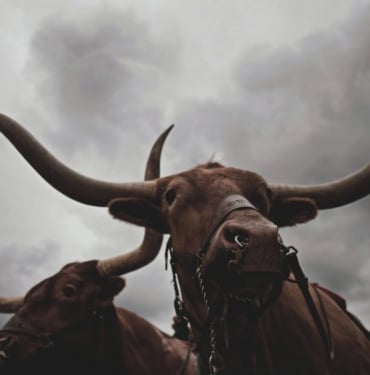 Bitcoin boğa koşusu ne zaman? - Analist tarihsel dip modeli ile yanıtladı