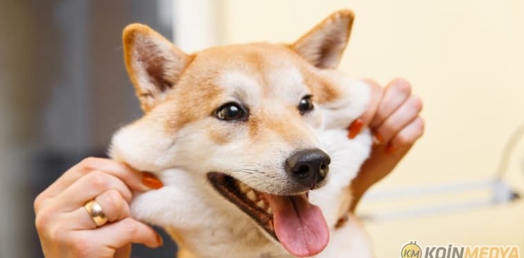 doge dogecoin