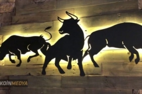 Analist boğa koşusuna hazırlanan 3 altcoini açıkladı: Solana (SOL)...