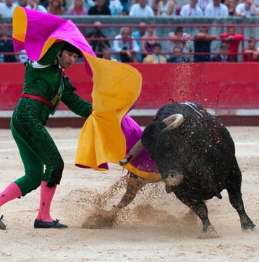 bogaguresi-koinmedya-com