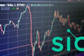 Dünyanın ilk ticari merkezsiz bulut depolama projesi Siacoin tekrar piyasaya dönüyor. SC son 30 günde ciddi kazanımlar elde etti.