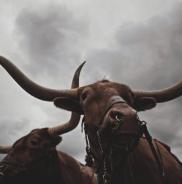 Bitcoin için müthiş benzerlik! - Tıpkı 2019 boğa koşusu öncesi…