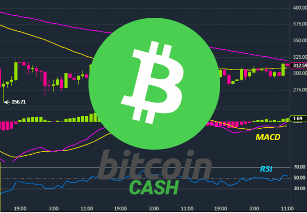 Top 20 De Fiyat Artisi Gosteren Tek Kripto Bitcoin Cash Koinmedya - 