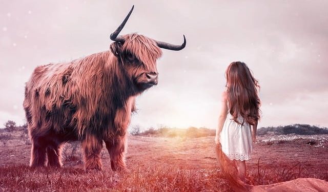 FED kararına rağmen, Ripple boğaları hala güven veriyor!