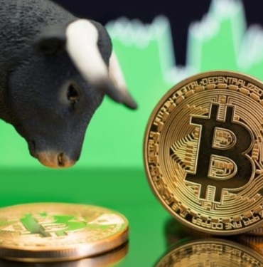 2022 ayı piyasası kâhininden Bitcoin için boğa tuzağı uyarısı!