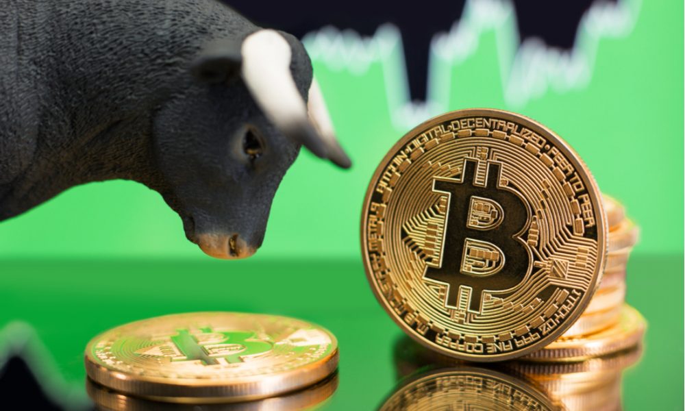 2022 ayı piyasası kâhininden Bitcoin için boğa tuzağı uyarısı!