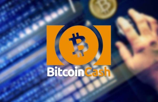 bitcoin cash fiyat tahmini
