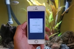 Bitcoin düşük fiyata ne zaman gönderilir?