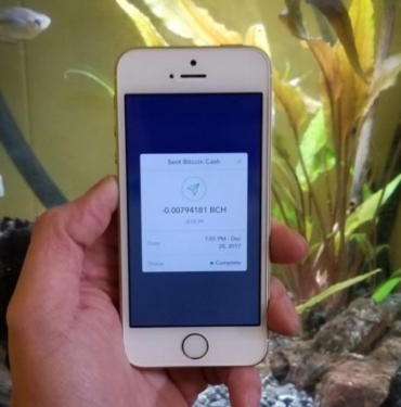 Bitcoin düşük fiyata ne zaman gönderilir?