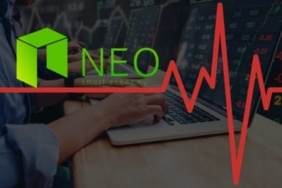 neo microsoft