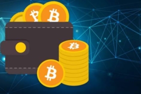 Bitcoin Hodler pozisyonları herşeyi anlatıyor!