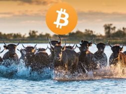 bitcoin-neden-yukseldi-koinmedya-com