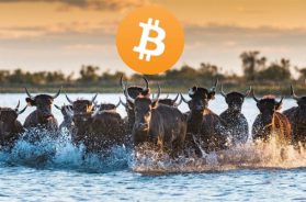 bitcoin-yukselis-trendi-koinmedya-com