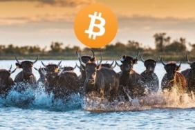 "Bitcoin yükseliş trendi için önce 'bunları' yapmalı!"