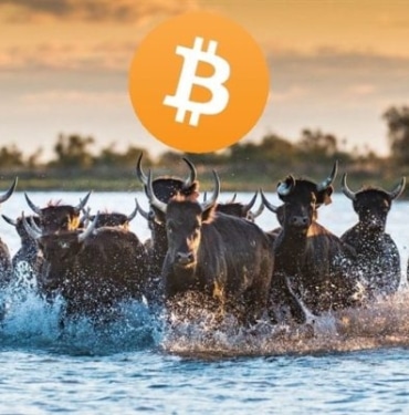 "Bitcoin yükseliş trendi için önce 'bunları' yapmalı!"