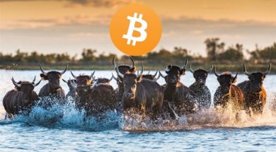 bitcoin-yukselis-trendi-koinmedya-com