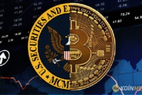 Bitcoin ETFlerin önünde uzun bir yol olduğunu düşünen analist sayısı azımsanmayacak sayıda. Geçen hafta SEC'in bir diğer ETF'yi reddetmesinden