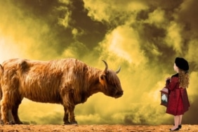 Ünlü analist parabolik Bitcoin boğa koşusunu tetikleyecek katalizörü açıkladı!