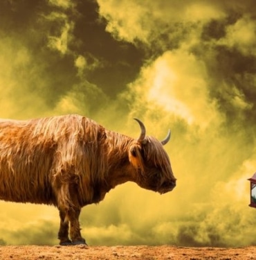 Ünlü analist parabolik Bitcoin boğa koşusunu tetikleyecek katalizörü açıkladı!