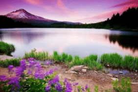 Kripto Temel Analiz Nedir