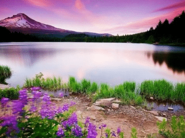 Kripto Temel Analiz Nedir