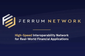 Ferrum Network FRM Nedir