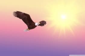 Ethereum teknik analiz 200