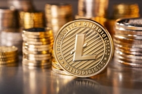1 Litecoin ne kadar? Litecoin kaç tl? Litecoin kaç dolar? Güncel Litecoin kuru ve Litecoin grafik ile ilgili yazımızdaki veriler kripto borsaları tarafından