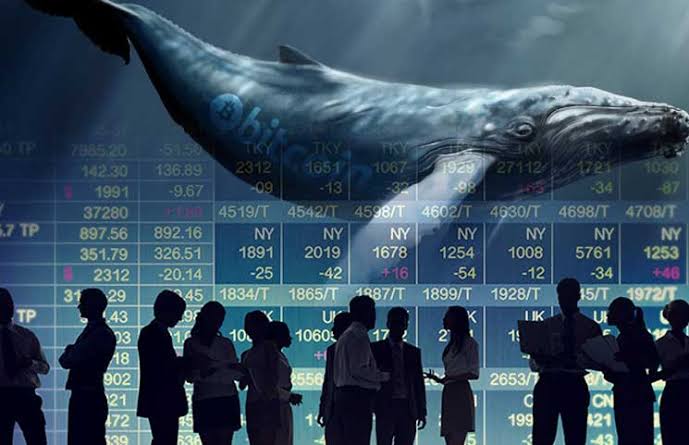 Kripto para balinaları fiyatı yükselen bu 3 altcoine akın etti