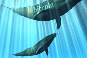 Bitcoin fiyatları bainalar tarafından mı kontrol ediliyor