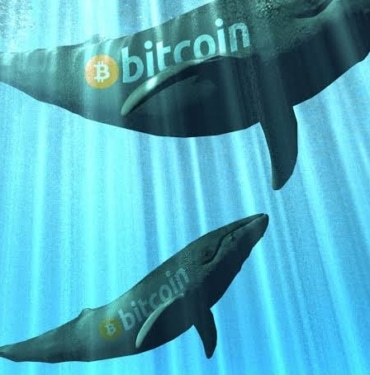 Bitcoin fiyatları bainalar tarafından mı kontrol ediliyor