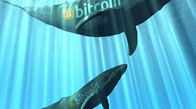 Bitcoin fiyatları bainalar tarafından mı kontrol ediliyor