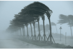 kripto para analiz, kripto para analizleri, kripto para canlı, canlı kripto para fiyatları kripto canlı