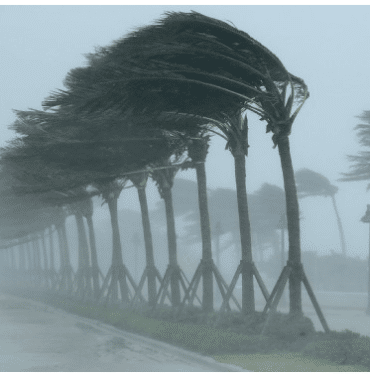 kripto para analiz, kripto para analizleri, kripto para canlı, canlı kripto para fiyatları kripto canlı