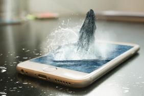 Shiba Inu'da büyük yükseltme öncesi beklenmedik hareketlilik!