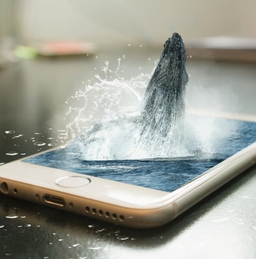 Shiba Inu'da büyük yükseltme öncesi beklenmedik hareketlilik!