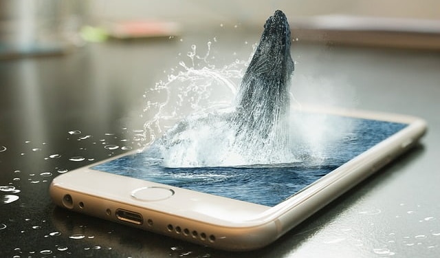 Shiba Inu'da büyük yükseltme öncesi beklenmedik hareketlilik!