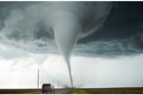 kripto temel analiz nedir