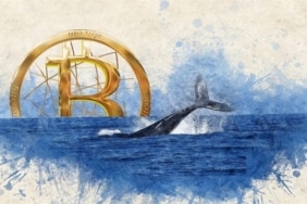 Bitcoin balina cüzdanlarında şaşırtan büyüme!