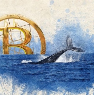Bitcoin balina cüzdanlarında şaşırtan büyüme!