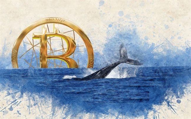 Bitcoin balina cüzdanlarında şaşırtan büyüme!