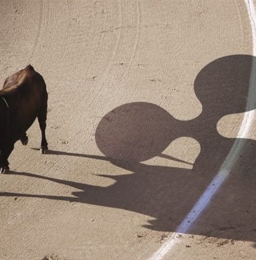 Ripple boğaları döndü! XRP fiyatında %25'lik ralliye hazır mısınız?