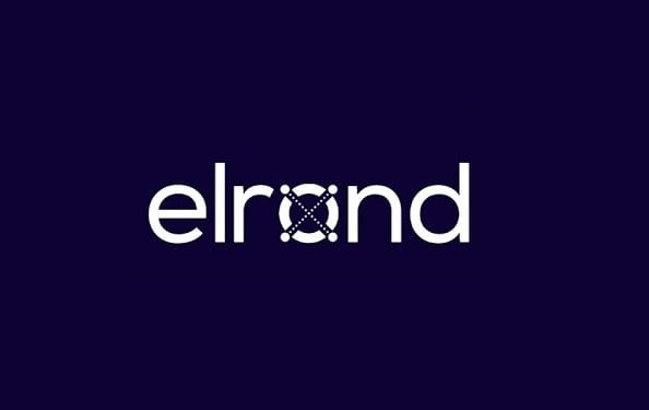 Elrond sağlık sektörü için blockchain altyapısı sağlayacak. Bunun için FEEEL.health ile işbirliği