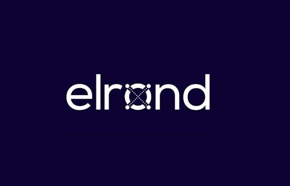 Pump/Dump gündemi: Elrond ERD coinde neler oluyor?