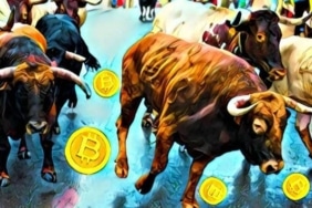 Bitcoin boğa koşusu