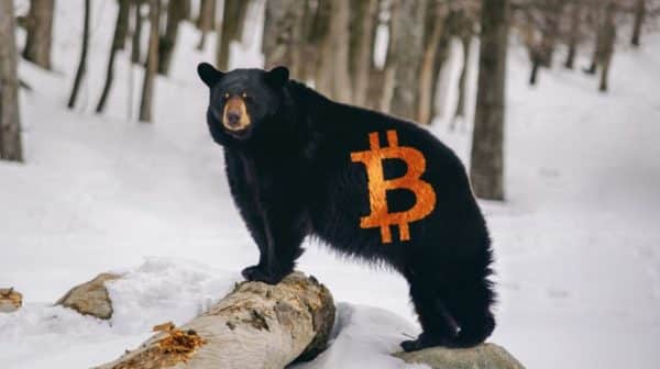 İşte, Bitcoin ayı piyasasının bittiğini gösteren 3 on-chain metrik