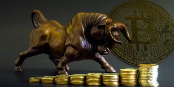 3 uzman ve analistten birden Bitcoin boğaları açıklaması