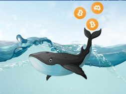 Bitcoin balina