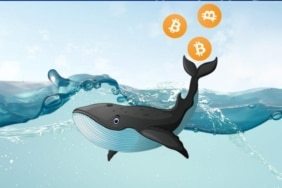Bitcoin balina