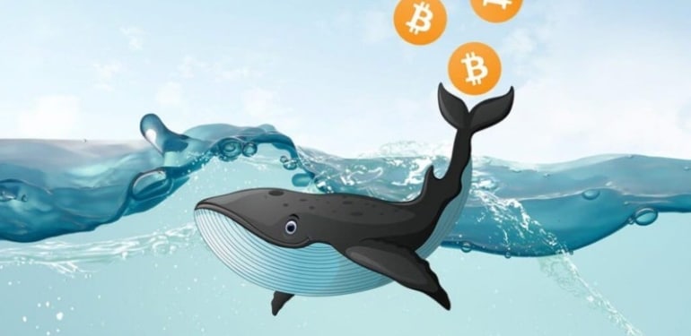 Bitcoin balina